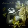 Returned To The Earth - In the Cold Deep Water - Single